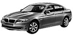 BMW F10 C0300 Fault Code